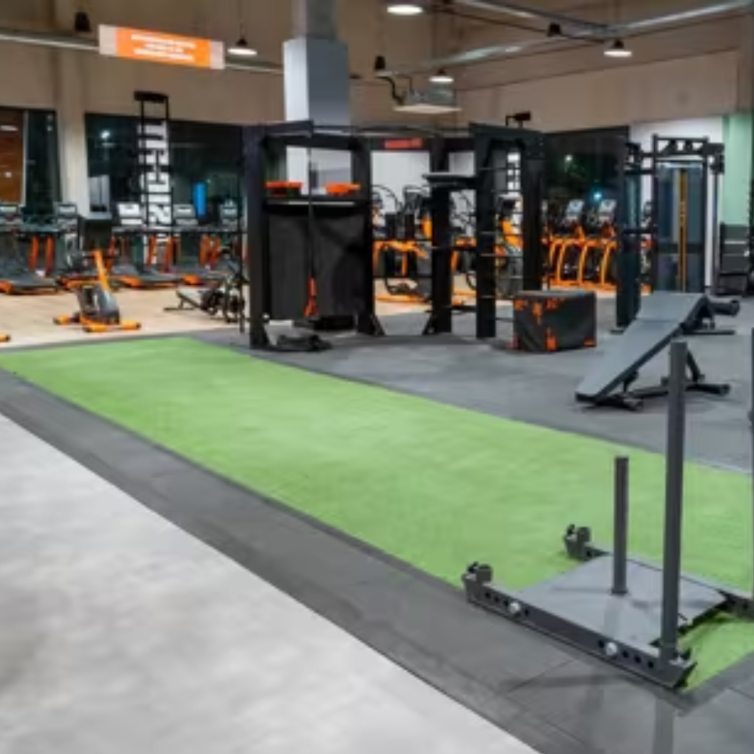 Gimnasio profesional