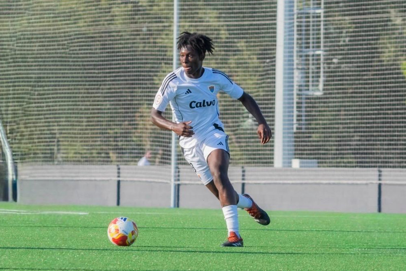 Sports scholarships in Spain